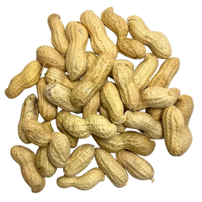 Peanuts in Shells